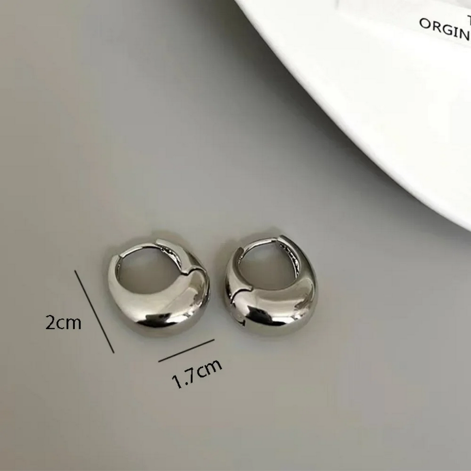 Silver and Gold Stainless Steel Chunky Hoop Earrings