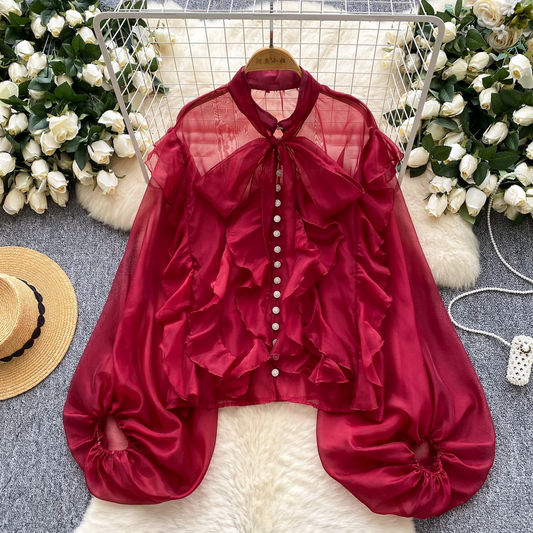 Mesh Puff Sleeve Blouse  Sheer French Vintage Casual Chic Top