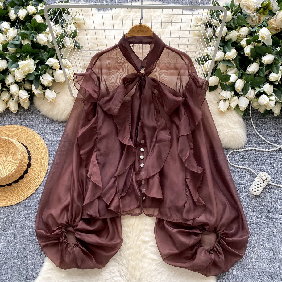 Mesh Puff Sleeve Blouse  Sheer French Vintage Casual Chic Top