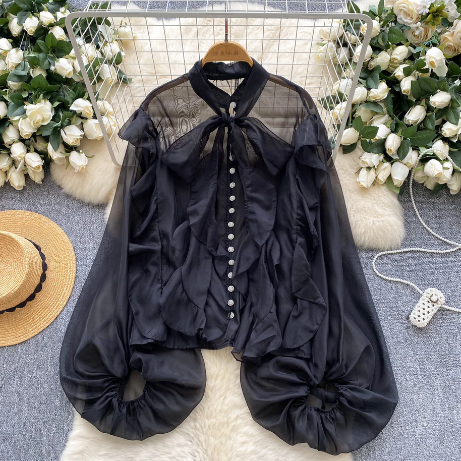 Mesh Puff Sleeve Blouse  Sheer French Vintage Casual Chic Top