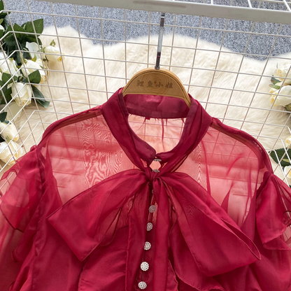 Mesh Puff Sleeve Blouse  Sheer French Vintage Casual Chic Top