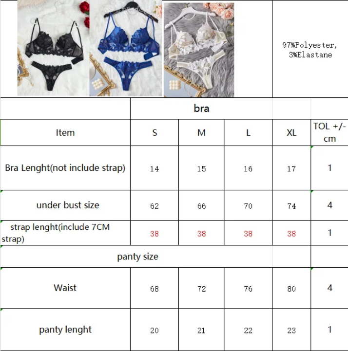 Floral Embroidery Mesh Lingerie Set